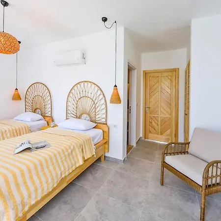 Leto / Kalkan